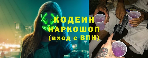 прущие грибы Наволоки