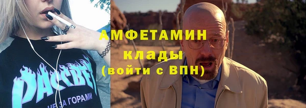прущие грибы Наволоки
