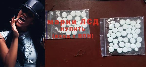 прущие грибы Наволоки