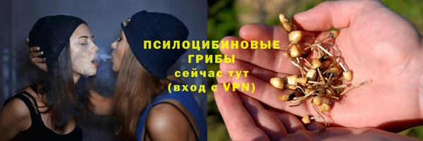 шишки Богородицк