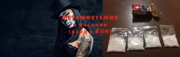 прущие грибы Наволоки