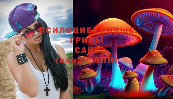 спиды Сатка