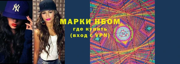 прущие грибы Наволоки