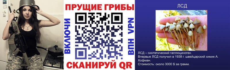 Галлюциногенные грибы MAGIC MUSHROOMS  Ряжск 